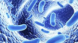 Timeline: historia de la microbiologia