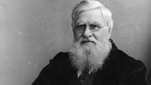 Alfred Russel Wallace y sus aportaciones