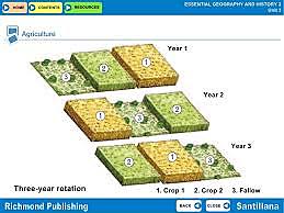 3 Crop Rotation System