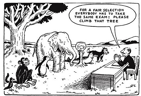 Standardized Test are Implemented in Public Schools