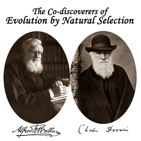 Linnea Society realizo la presentacion en sociedad de los trabajos de Darwin y Wallace