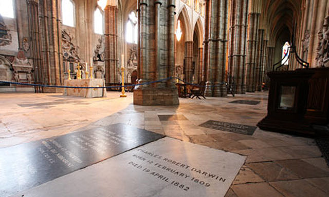 Los restos de Darwin se encuentran en la abadia de Westminster