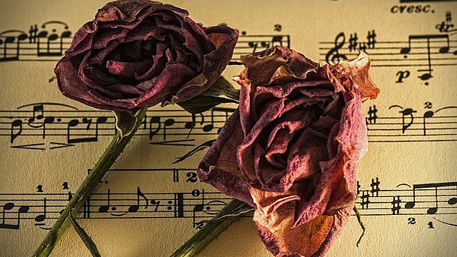 LA MUSICA DURANTE EL ROMANTICISMO (1800)