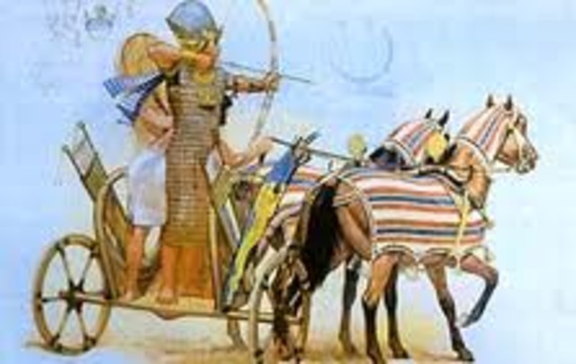 Domesticación del caballo