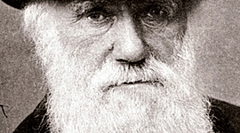 Timeline: Charles Robert Darwin