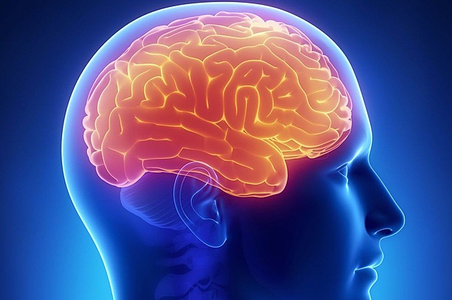 La Neuropsicología se consolida