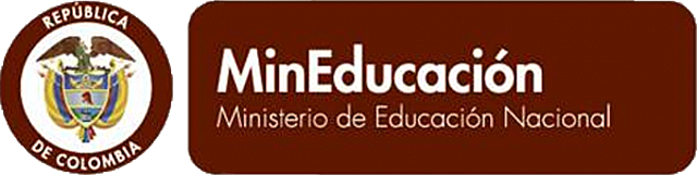 Conceptualización del MEN