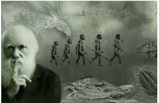 Estudios universitarios de darwin