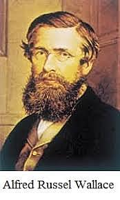 Alfred Wallace