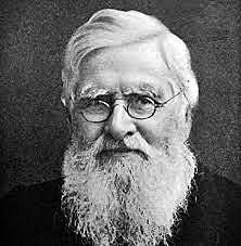 Alfred Wallace