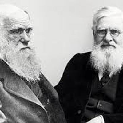 Timeline: Charles Darwin y Alfred Russel Wallace