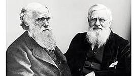 Timeline: Charles Darwin y Alfred Russel Wallace