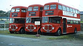 Timeline: 1980 Time capsule