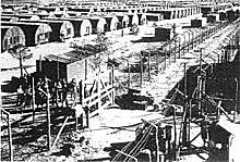 Cyprus Detention Camps