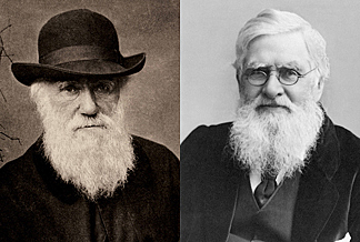 Darwin y Wallace