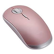 La computadora Ratón Electrónico