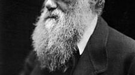 Timeline: LÍNEA DE TIEMPO DE CHARLES DARWIN Y SUS APORTES.