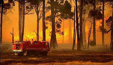 Australia's wildfires
