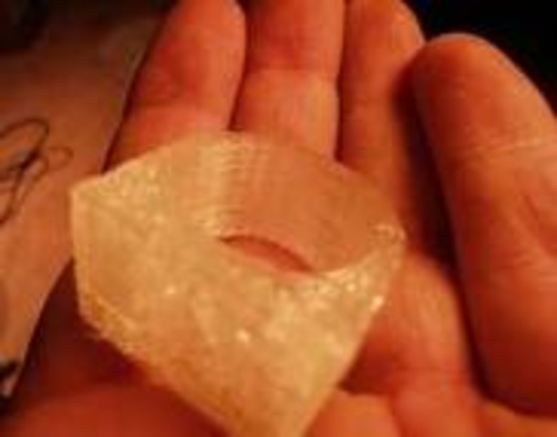 Pseudomonas extremaustralis PRODUCE polihidroxibutirato (PHB), DANIELA GONZALEZ RIVAS