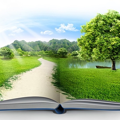 Timeline: História da Educação Ambiental