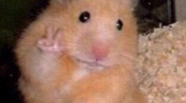 Timeline: My Personal Timeline!