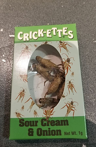 Eating crickets