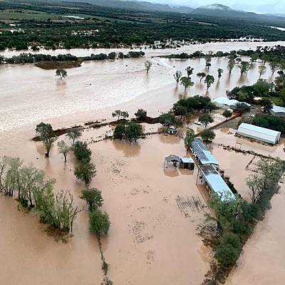 Timeline: Linea del tiempo