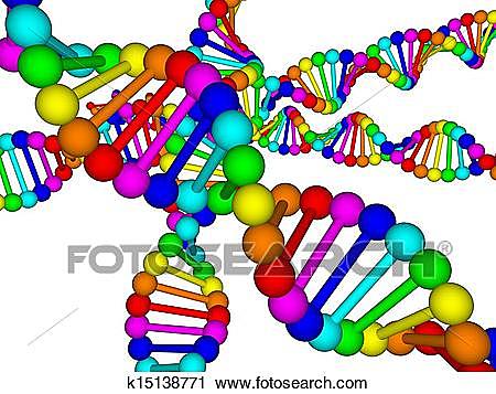 ACIDO DESOXIRRIBONUCLEICO (ADN O DNA)