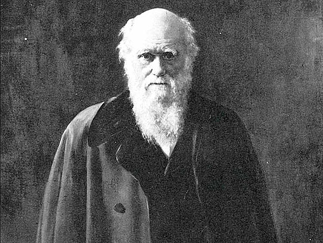 Ingresa a la universidad