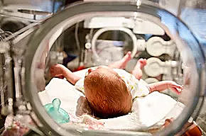 Nace el Borde de viabilidad