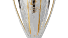 Timeline: primera copa europea del rugby