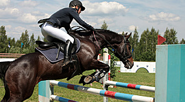 Timeline: EQUITACIÓN