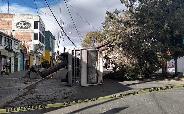 Ráfagas de aire tiraron 46 árboles y dañaron 6 vehículos en Toluca y Metepec