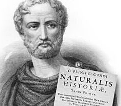 Plinio el Viejo (23 – 79 d.C.)