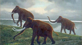 Timeline: Quaternary Period