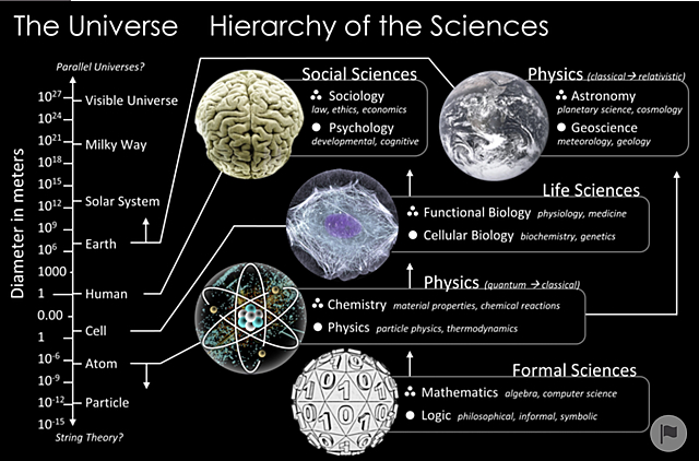 Hierarchy of the Sciences (1854)