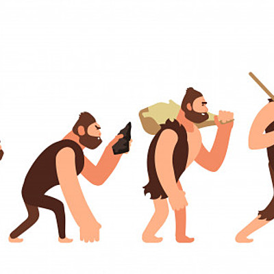 Timeline: la evolucio dels humans