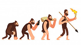 Timeline: la evolucio dels humans
