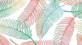 Timeline: La Historia de Mi Vida