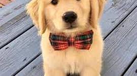 Timeline: mi vida hermosa