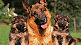 Timeline: Historia de mi vida