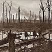 Battle of Passchendaele