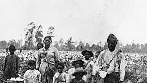 Slaves Arrive in America