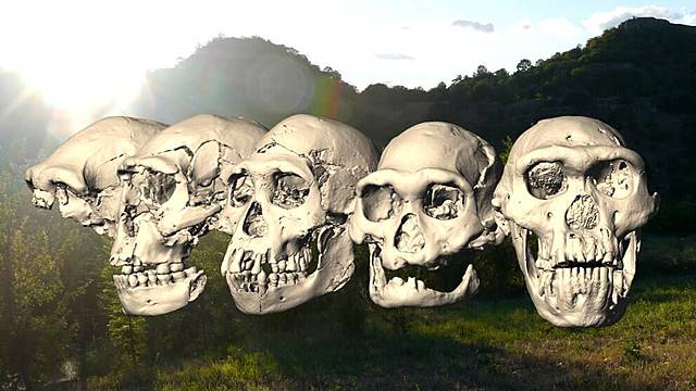 Utveckling av människan.