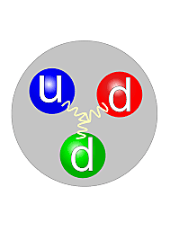 Descobriment del neutró