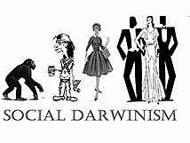 social darwinism