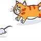 Cat chasing mouse