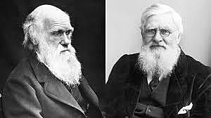 Alfred Wallace - Publishes "On the Tendency of Species to form Varieties; and on the Perpetuation of Varieties and Species by Natural Means of Selection"