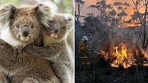 Klimatförändringarna