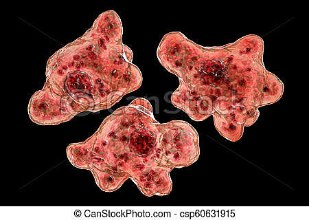 Det första livet på jorden uppstår
